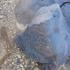 Image of siglum BES20 1226