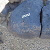 Image of siglum BES20 1229