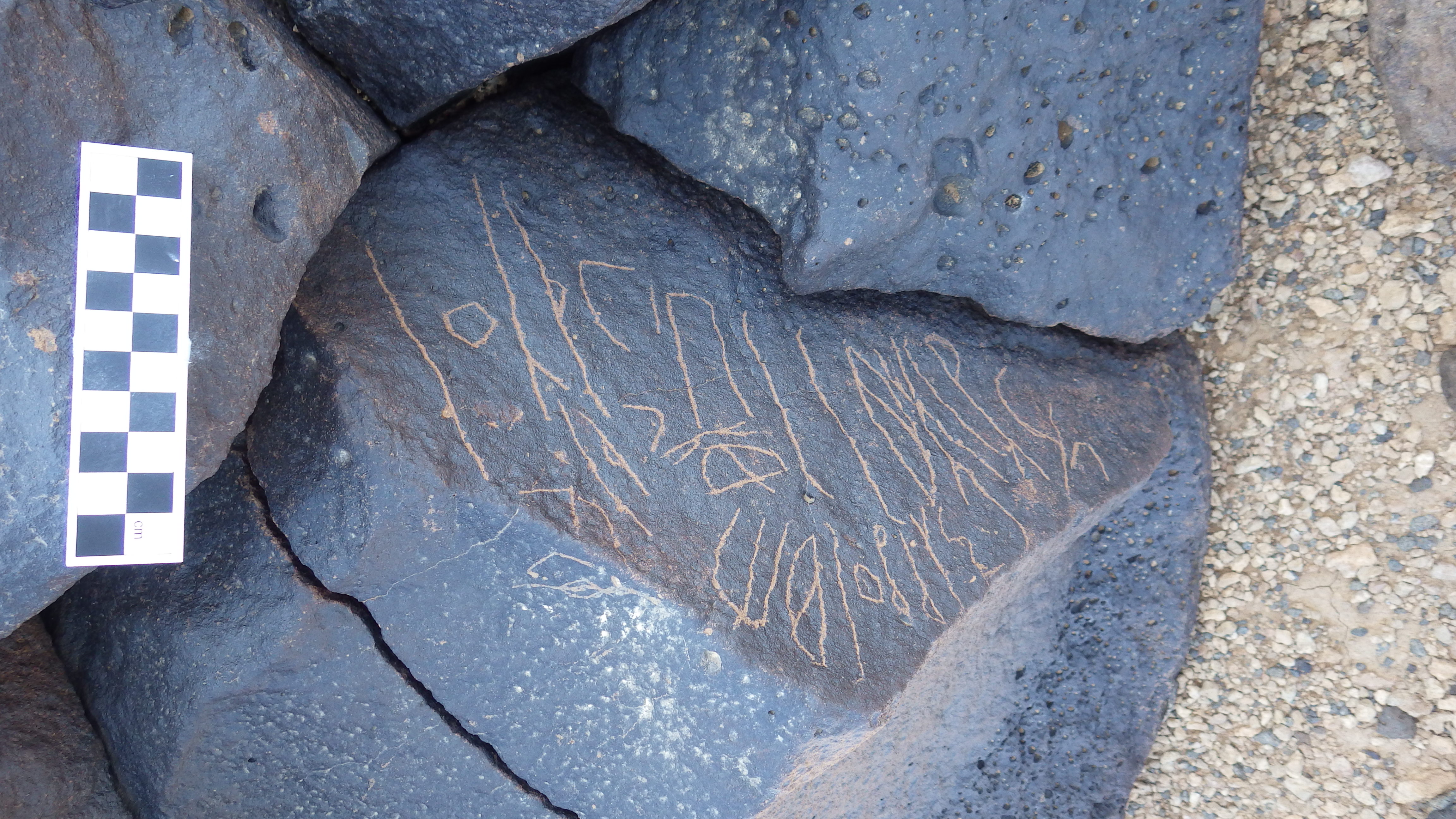 Image of siglum BES20 1231