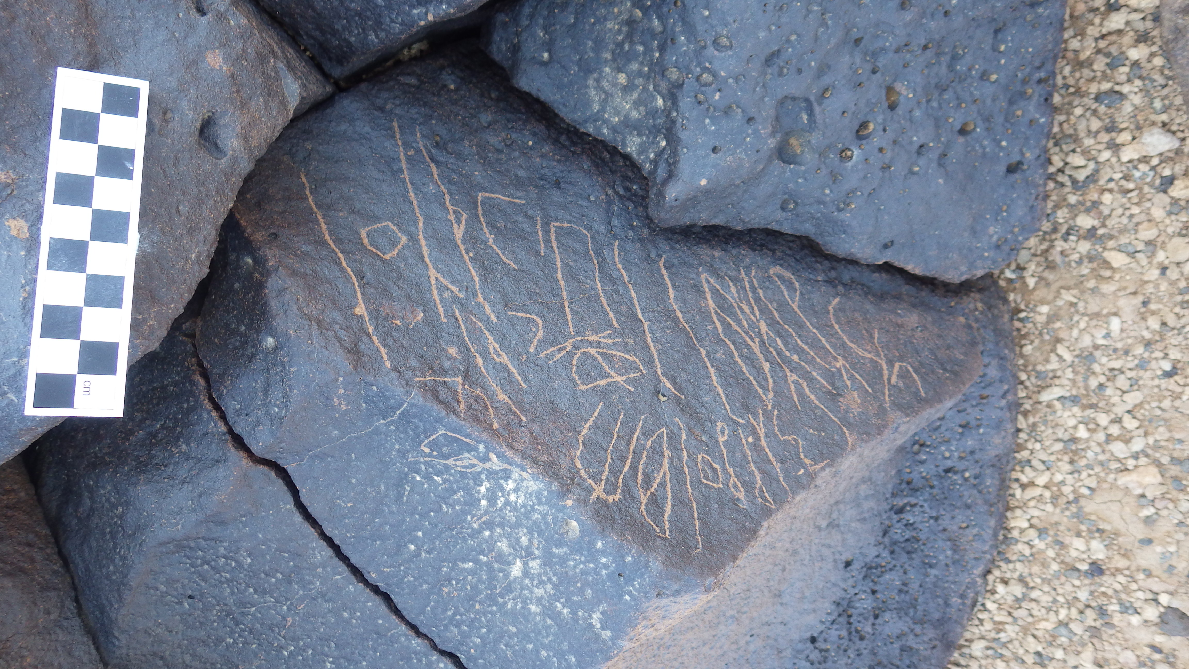 Image of siglum BES20 1231