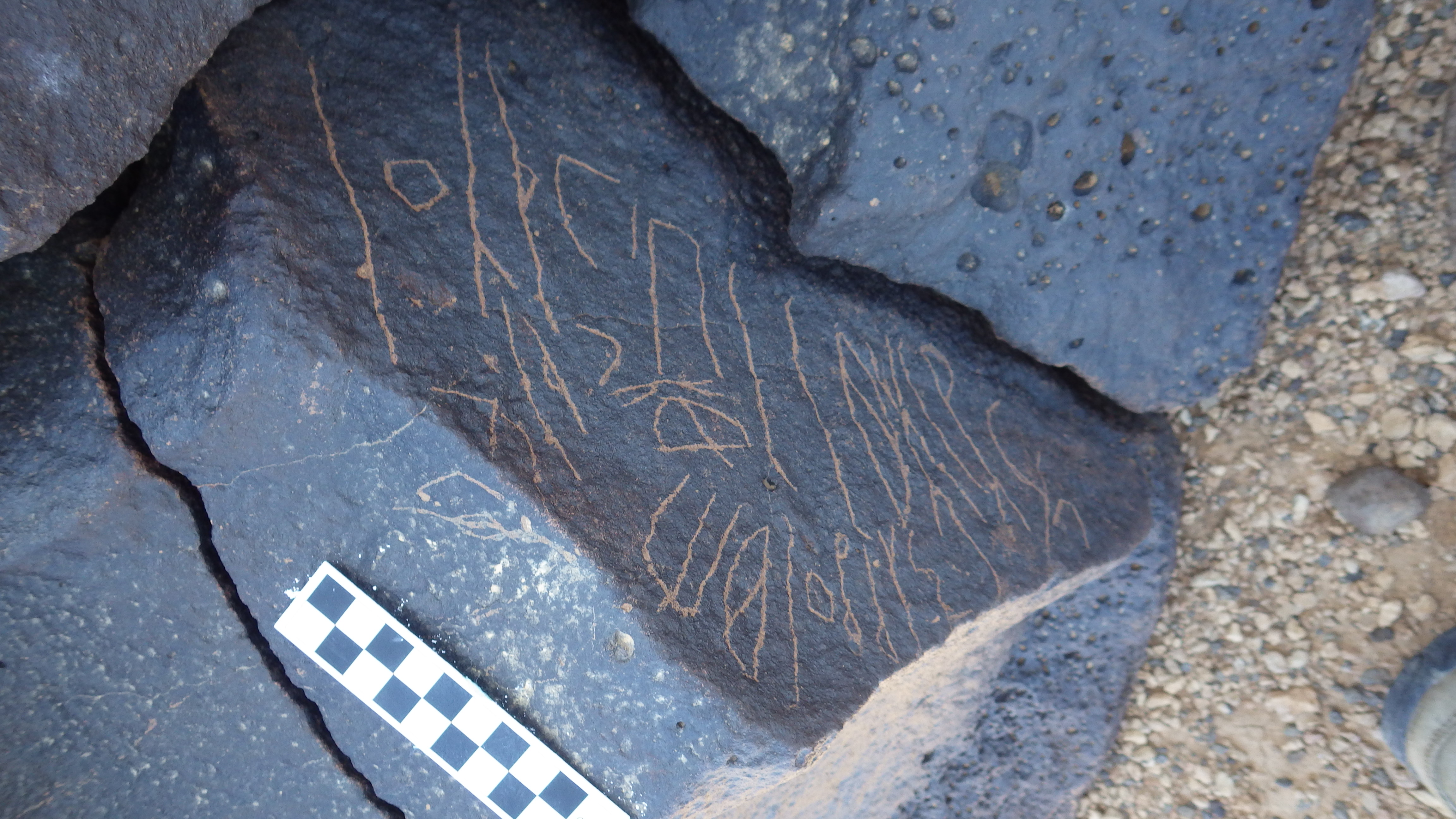Image of siglum BES20 1231