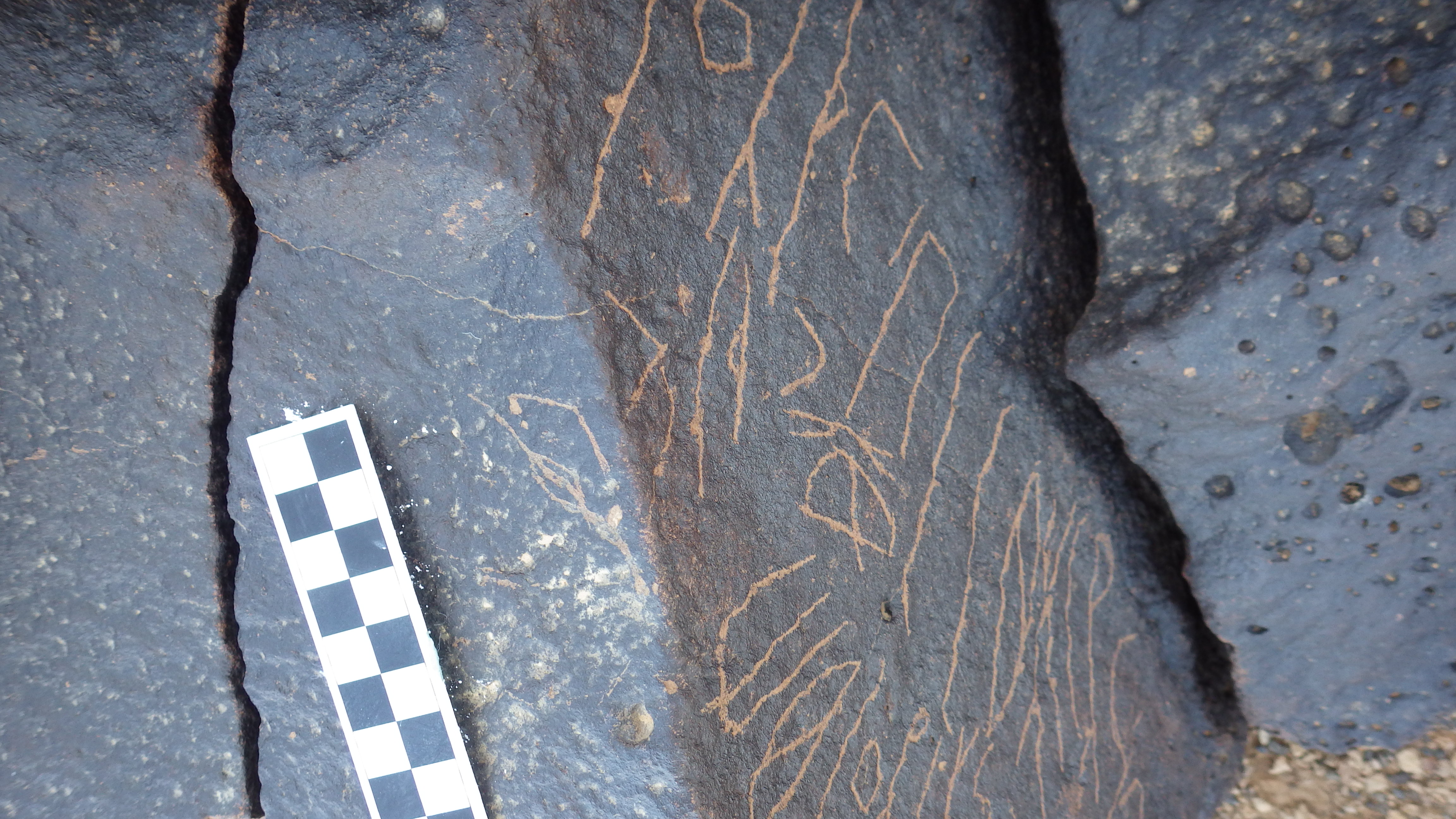 Image of siglum BES20 1231