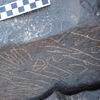Image of siglum BES20 1231