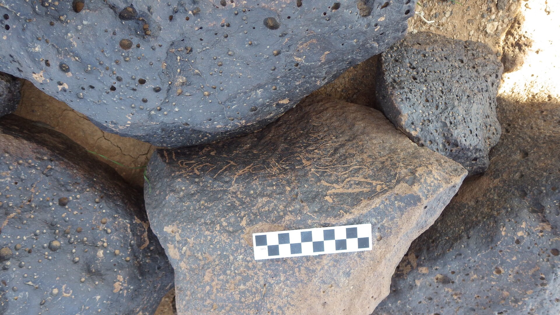 Image of siglum BES20 1234