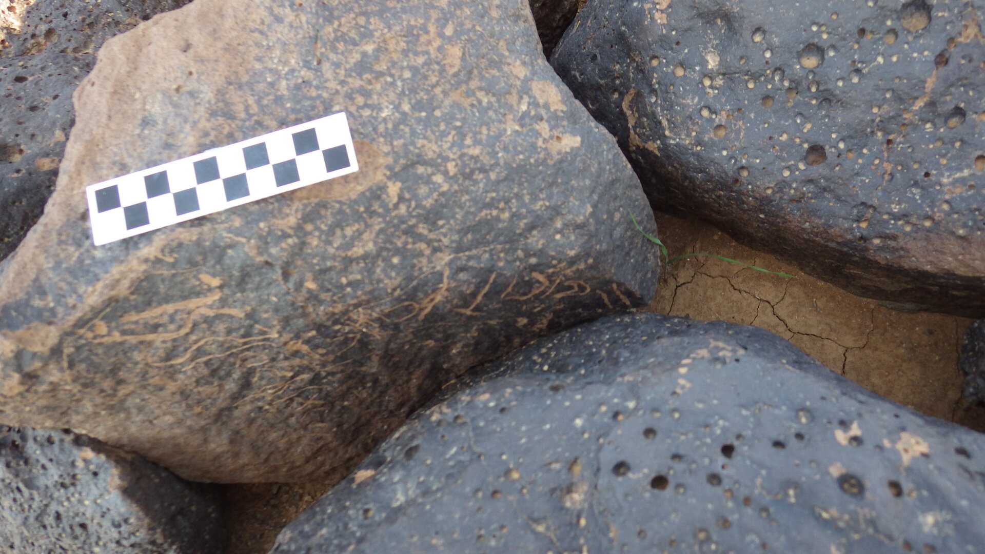 Image of siglum BES20 1234