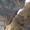 Image of siglum BES20 1234