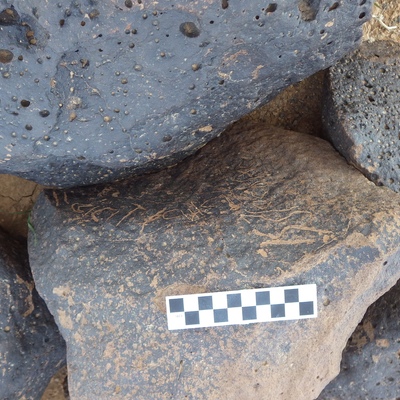 Image of siglum BES20 1235