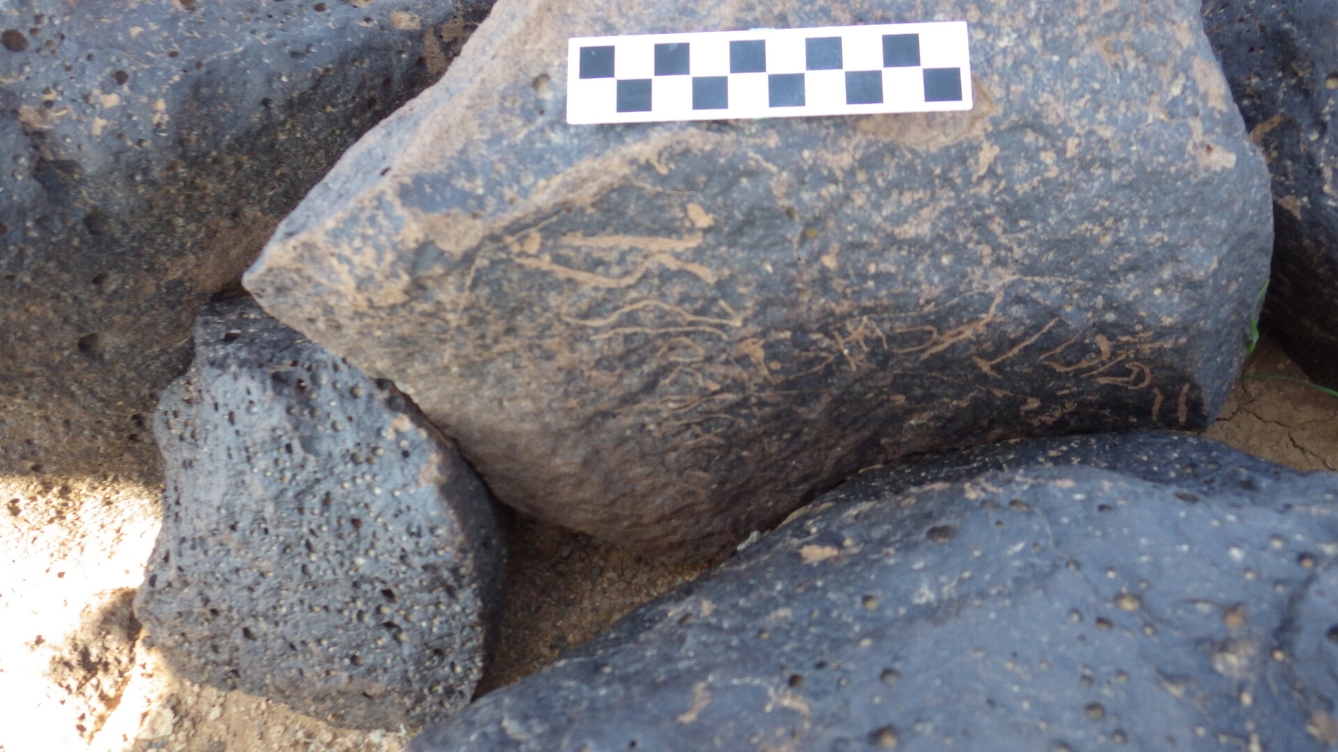 Image of siglum BES20 1235