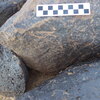 Image of siglum BES20 1235