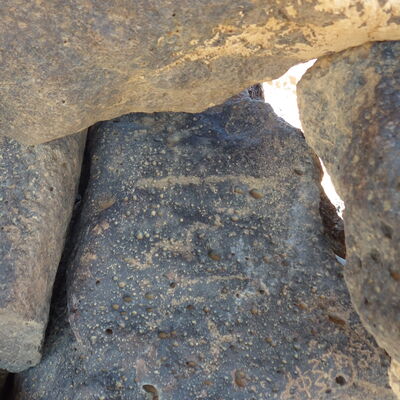 Image of siglum BES20 1236