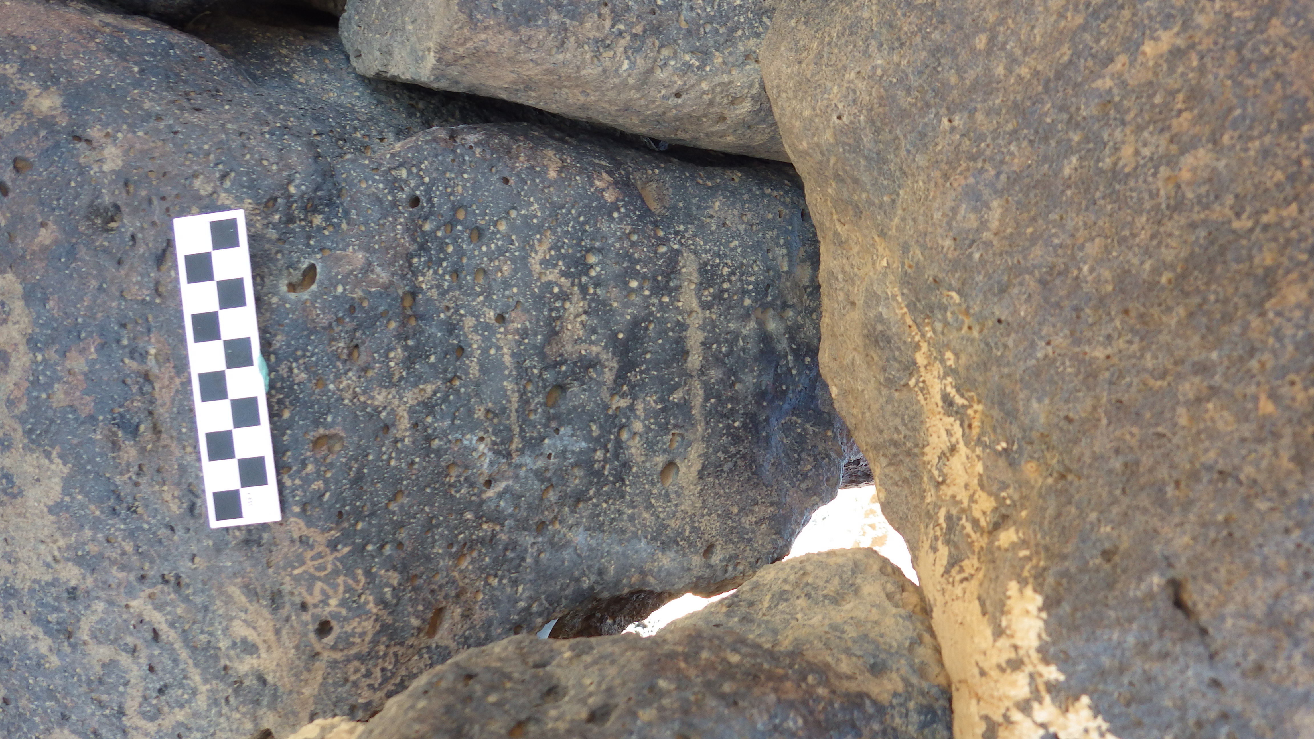 Image of siglum BES20 1238