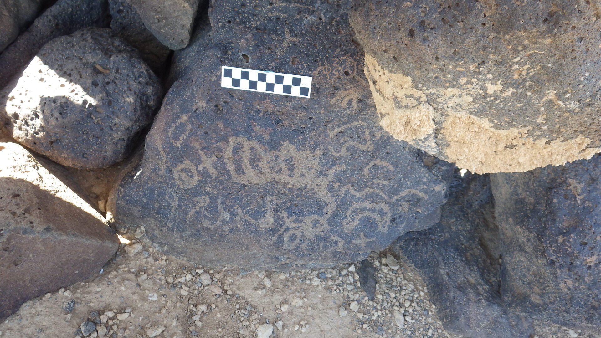 Image of siglum BES20 1238