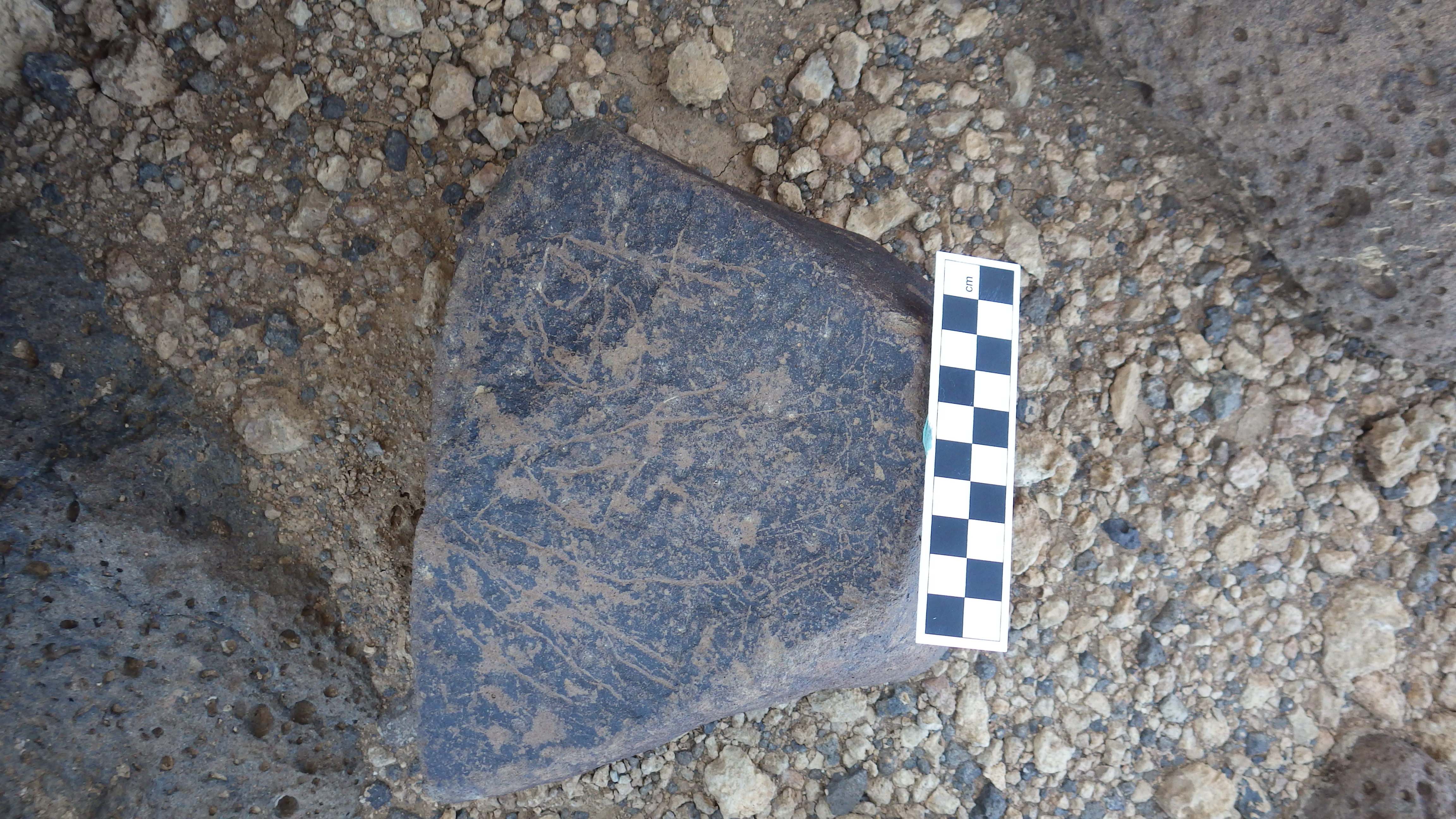 Image of siglum BES20 1239