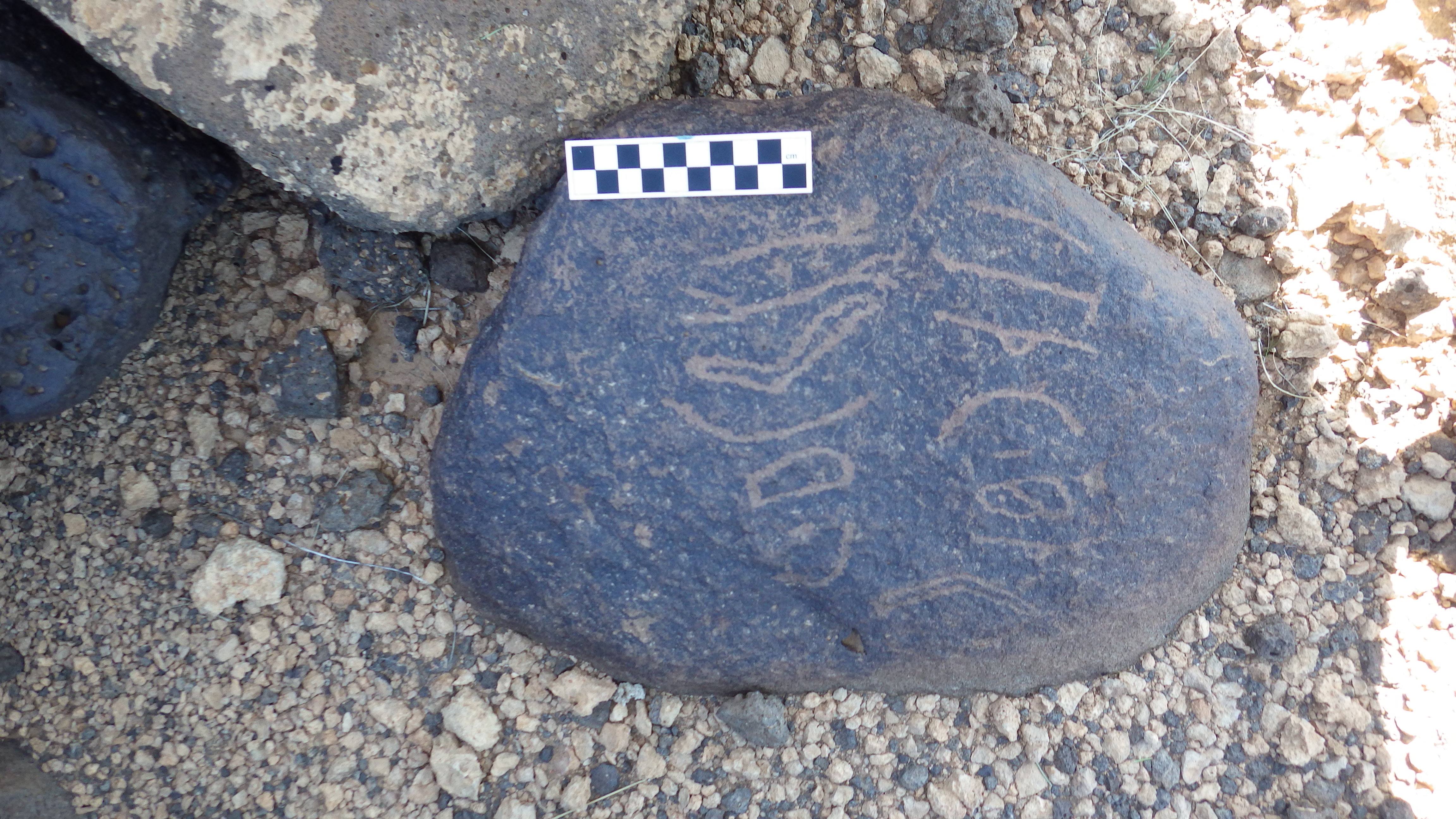 Image of siglum BES20 1240