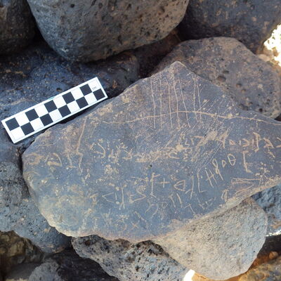 Image of siglum BES20 1242