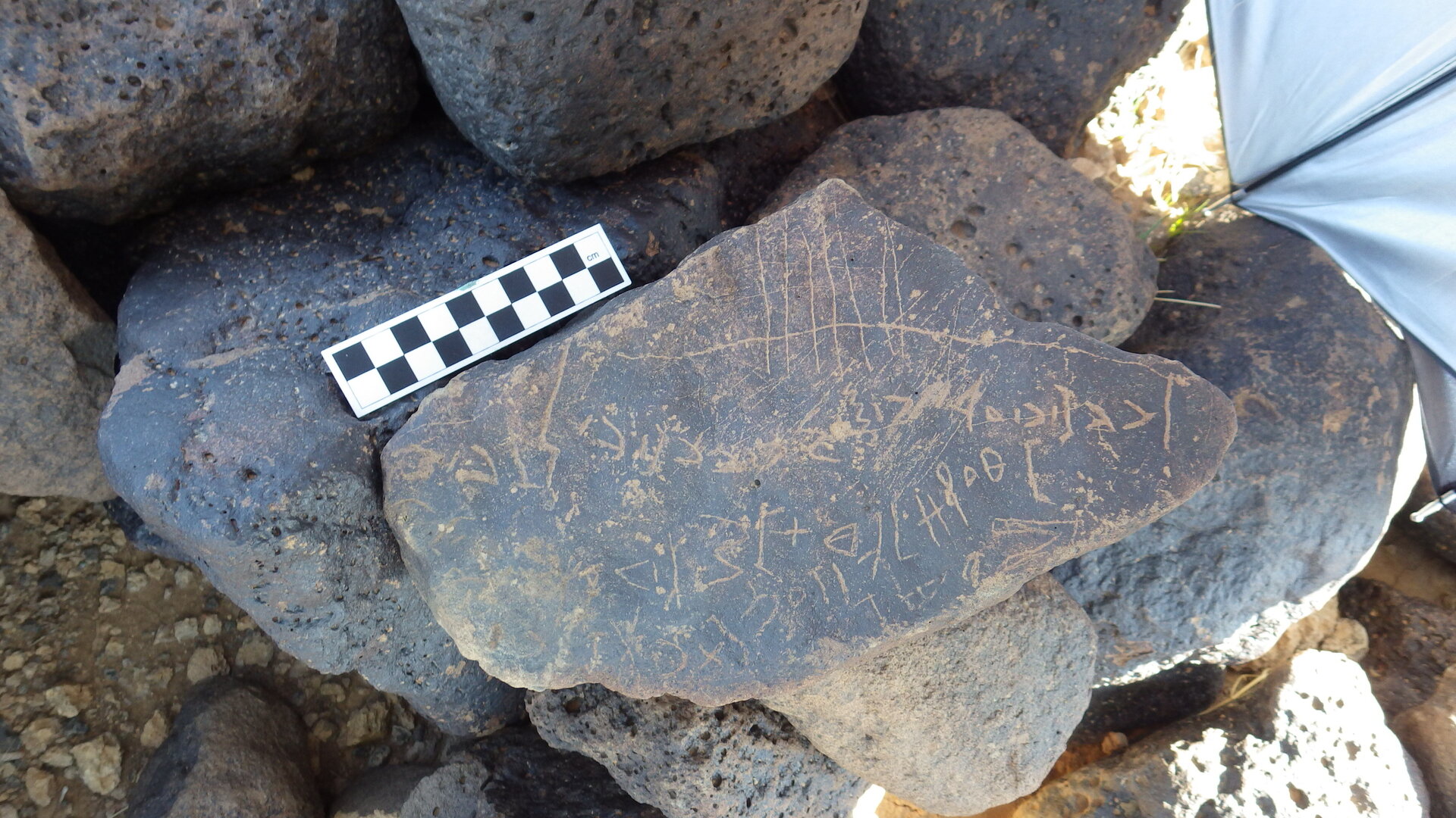 Image of siglum BES20 1242