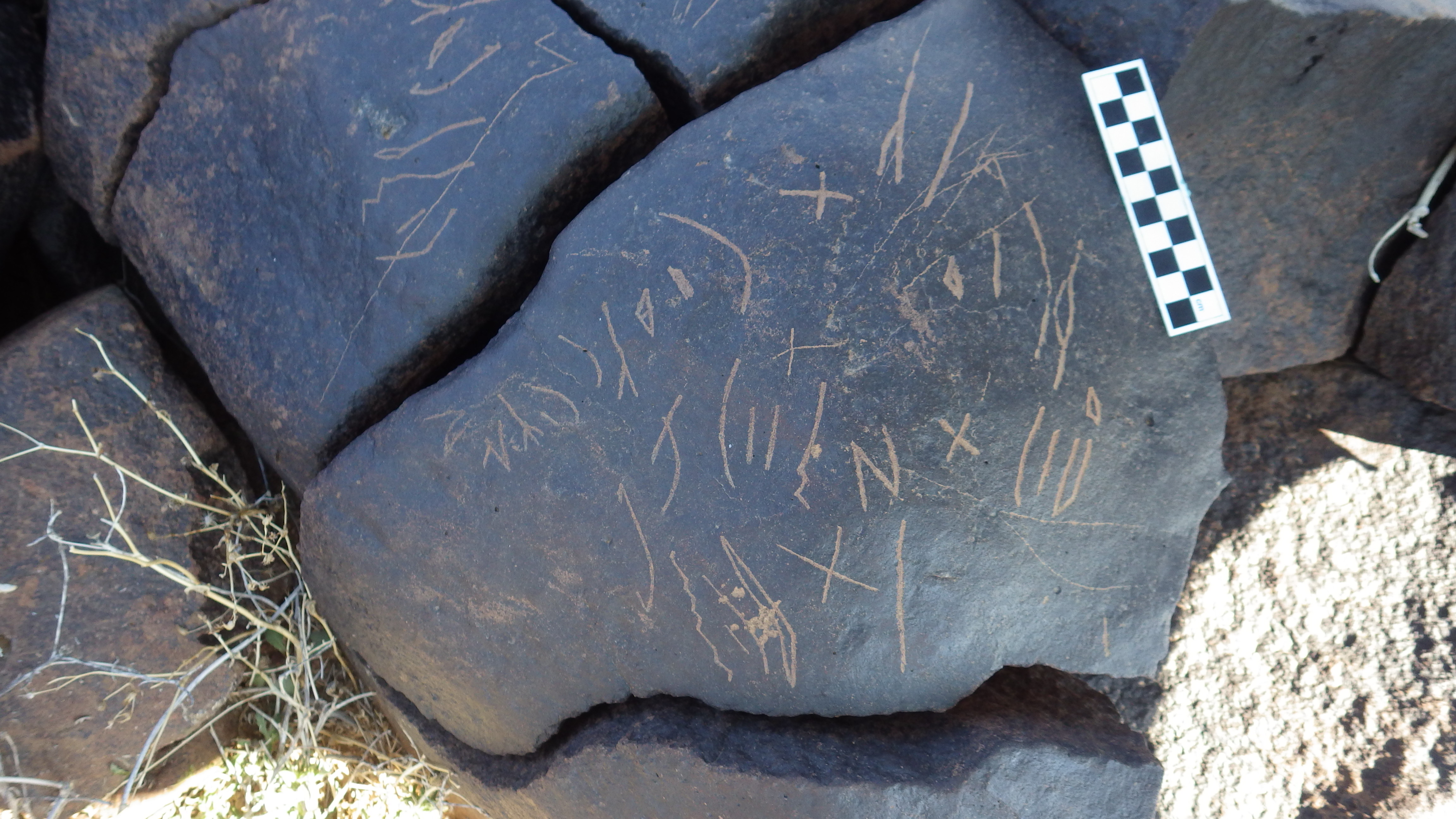 Image of siglum BES20 1243