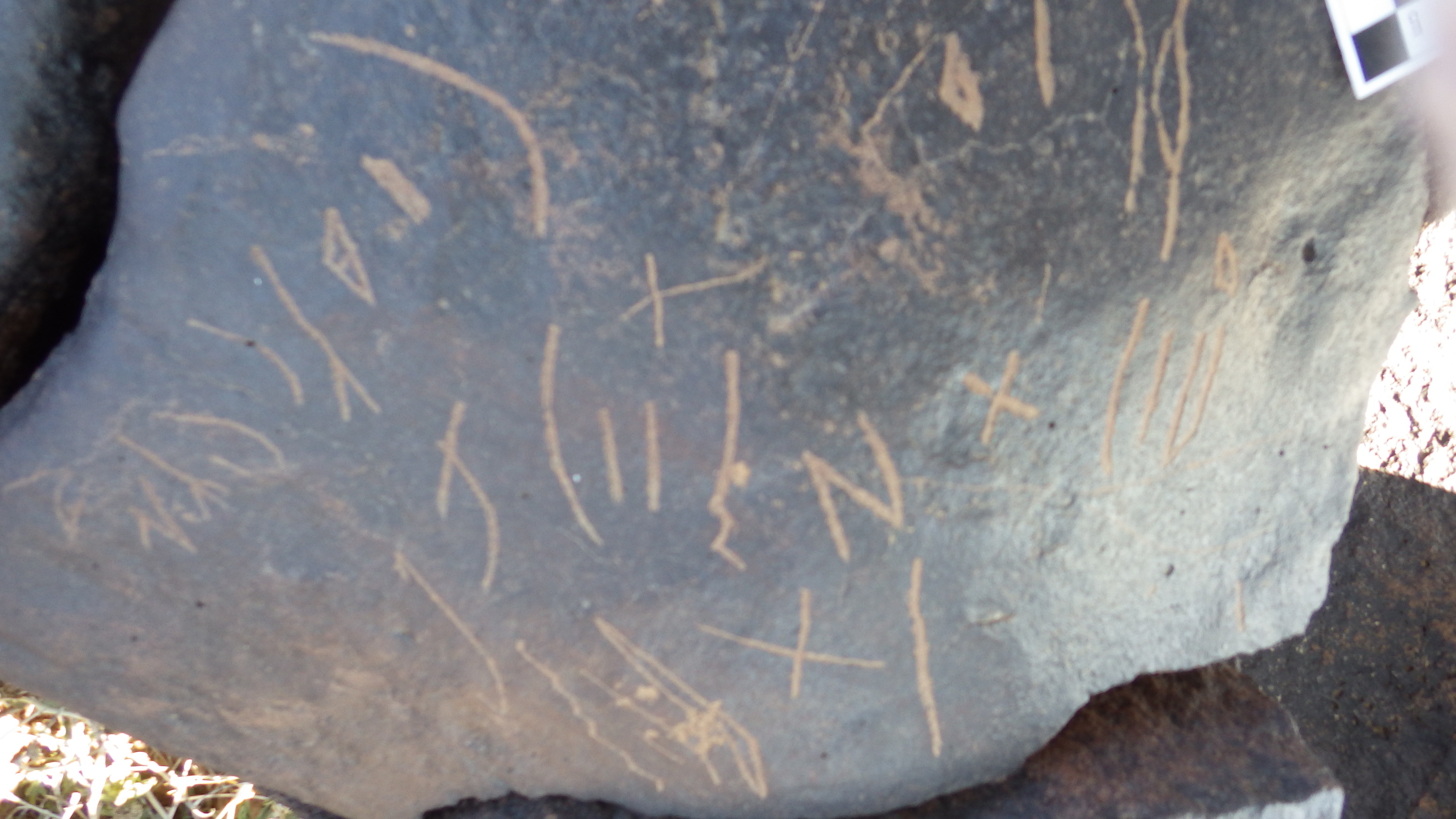 Image of siglum BES20 1243