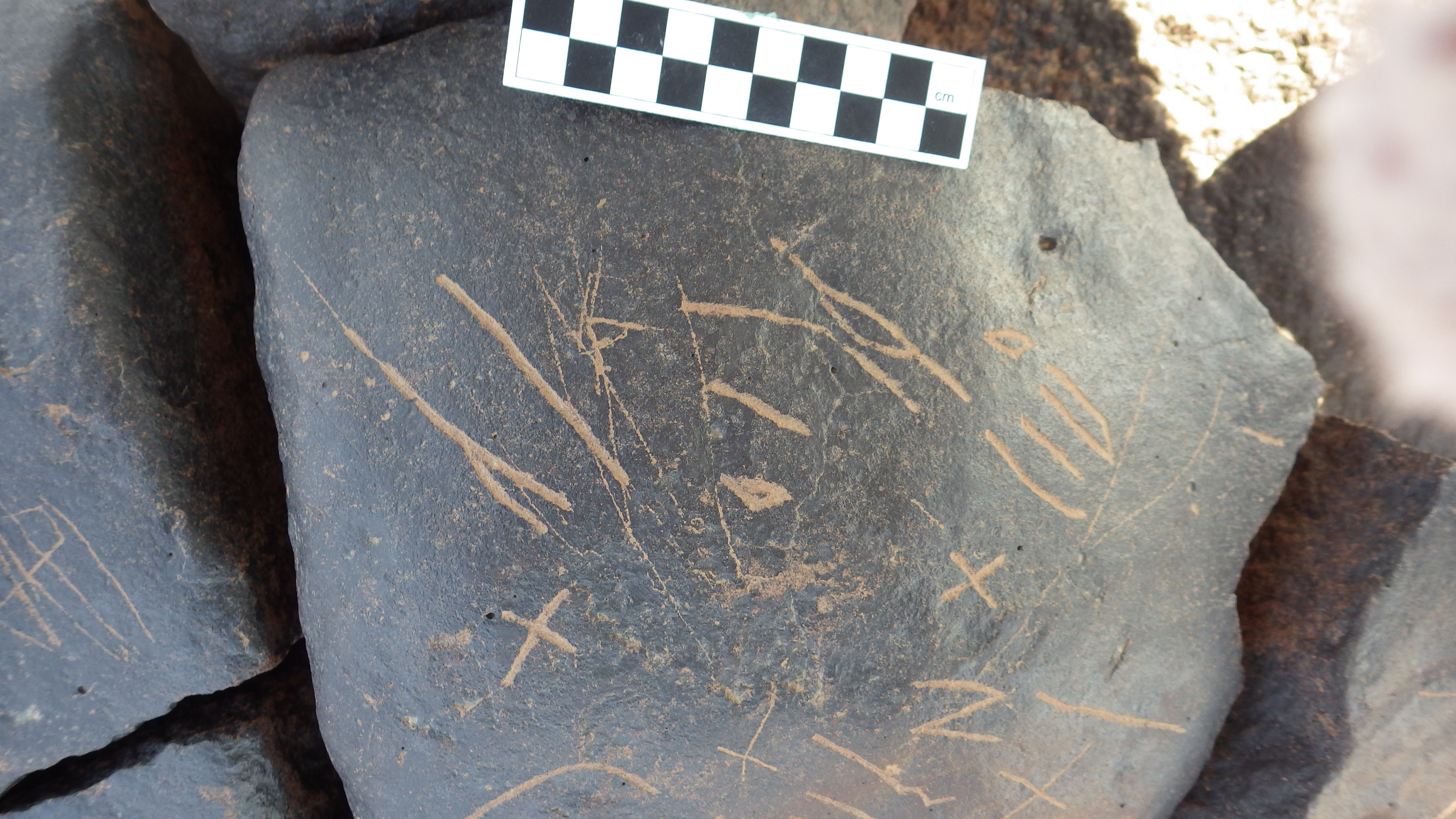 Image of siglum BES20 1243