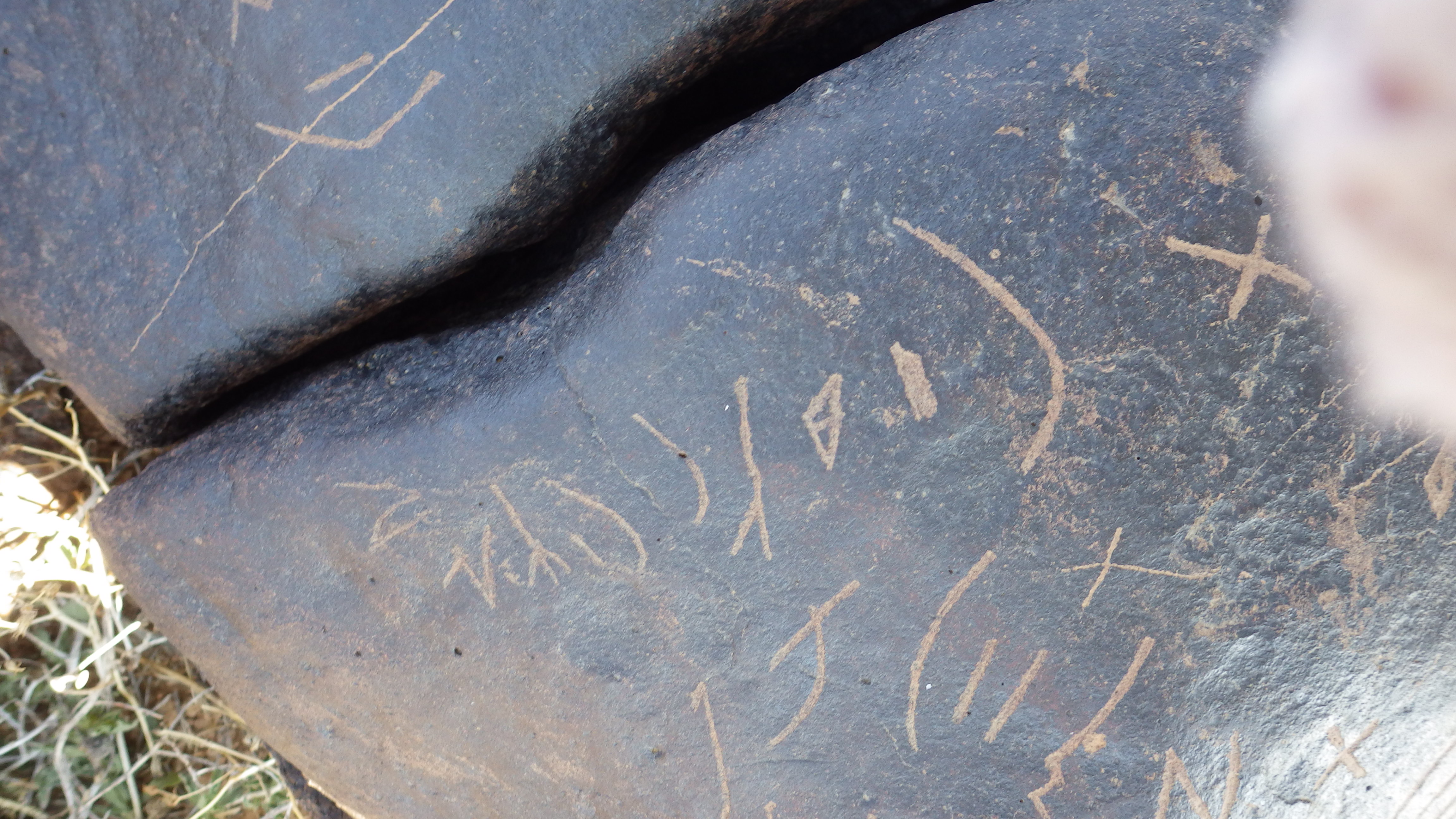 Image of siglum BES20 1243