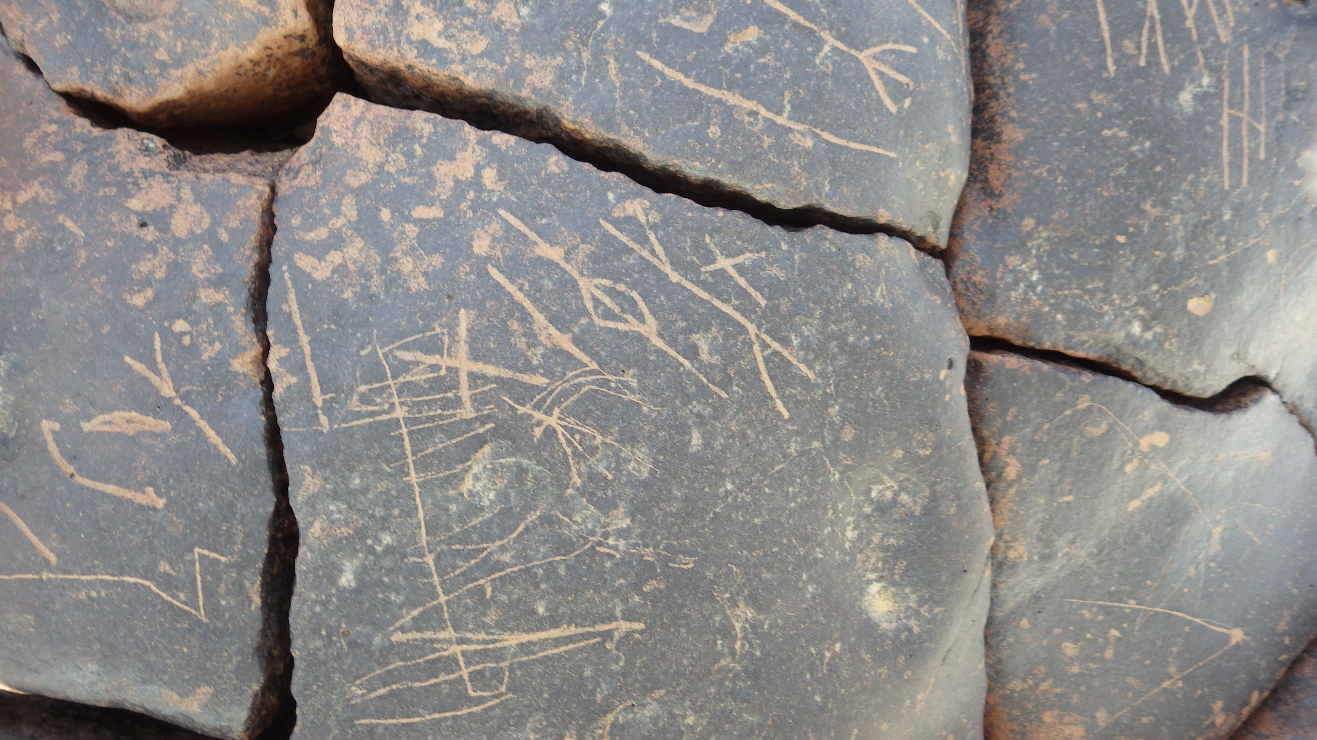 Image of siglum BES20 1243