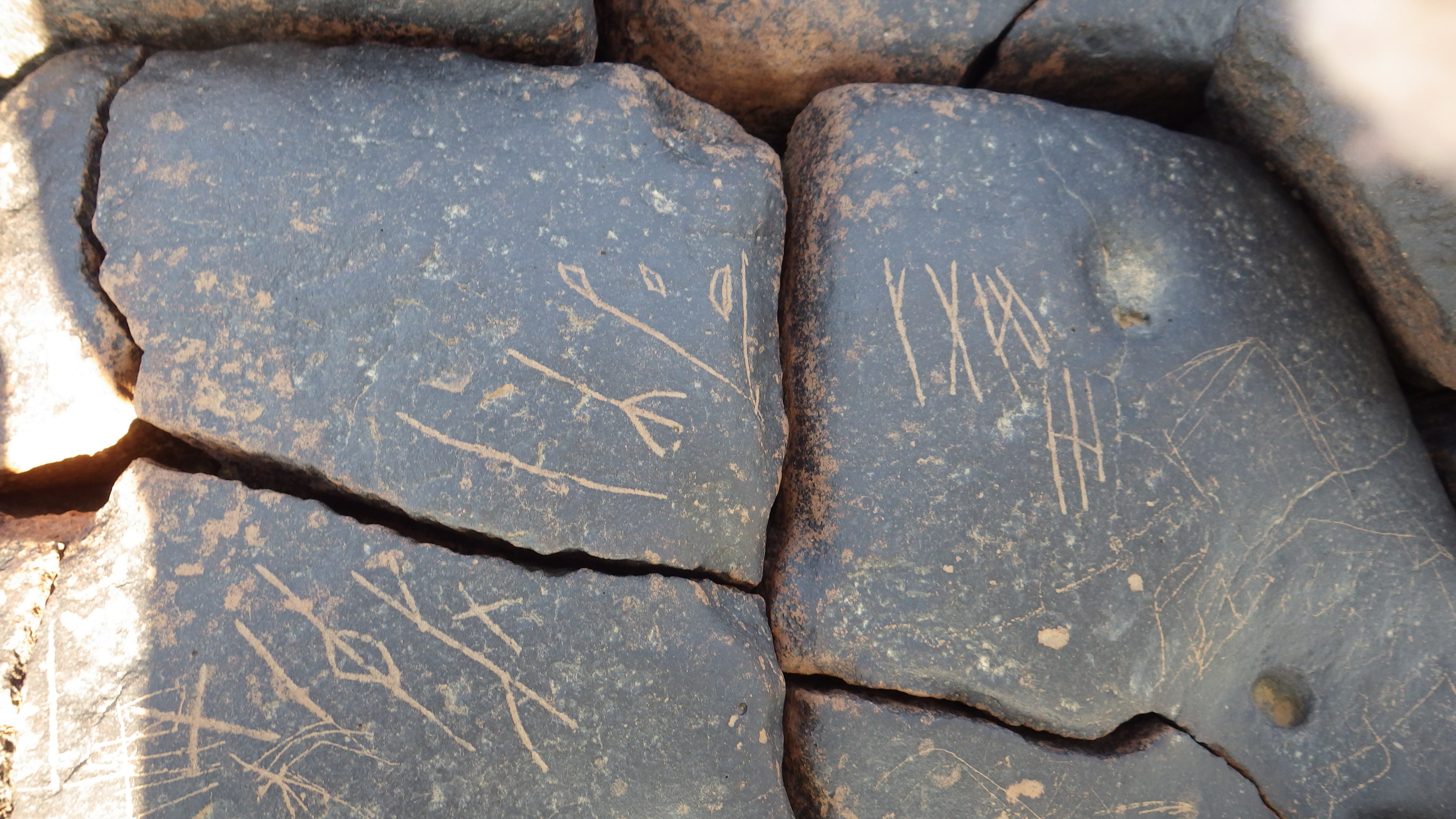 Image of siglum BES20 1243