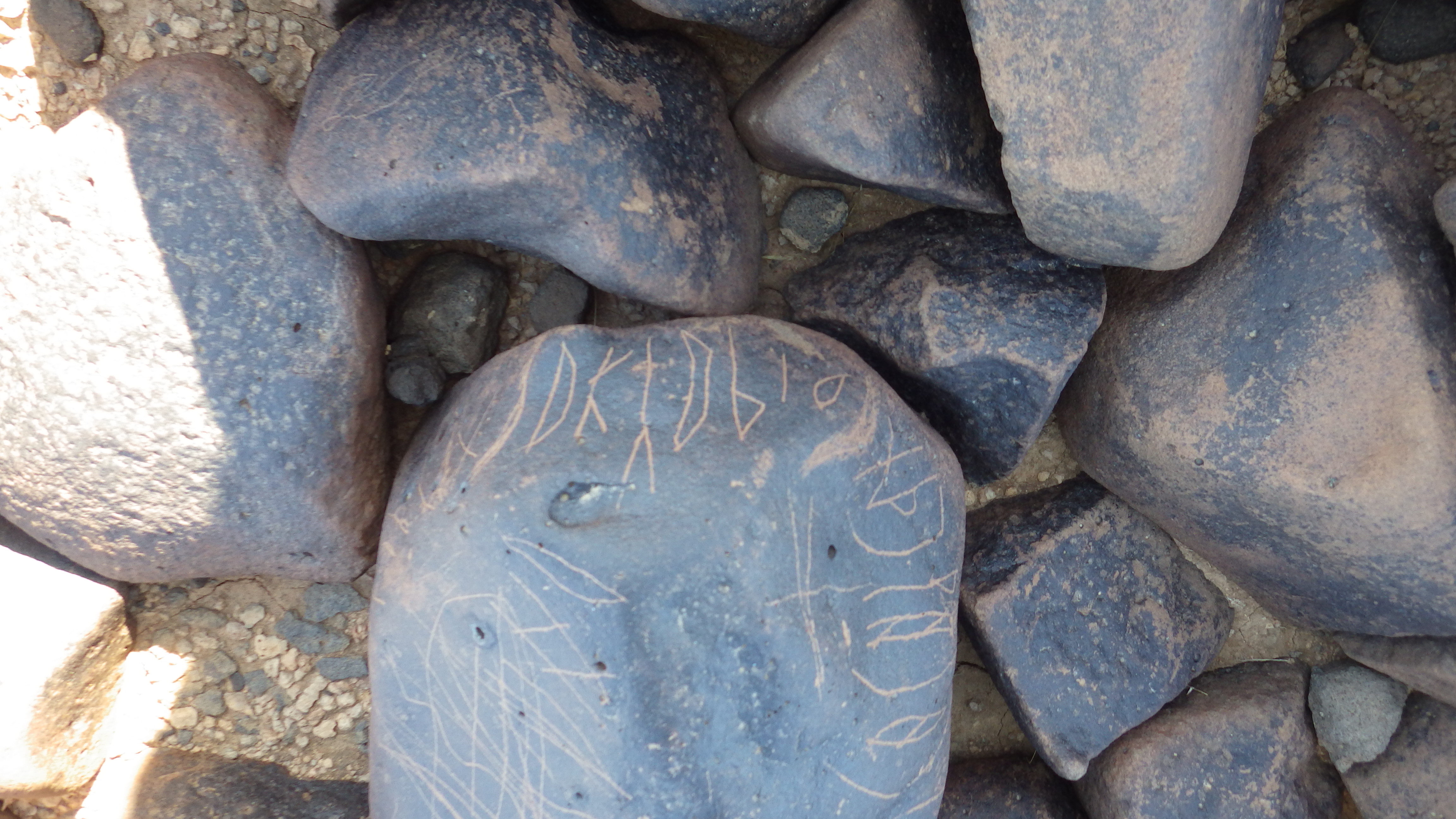 Image of siglum BES20 1246