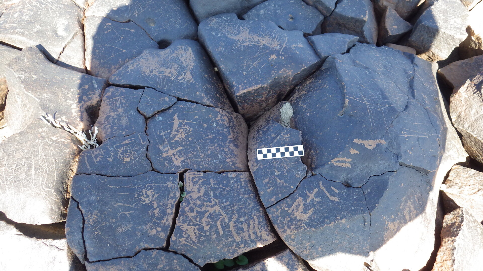 Image of siglum BES20 1246