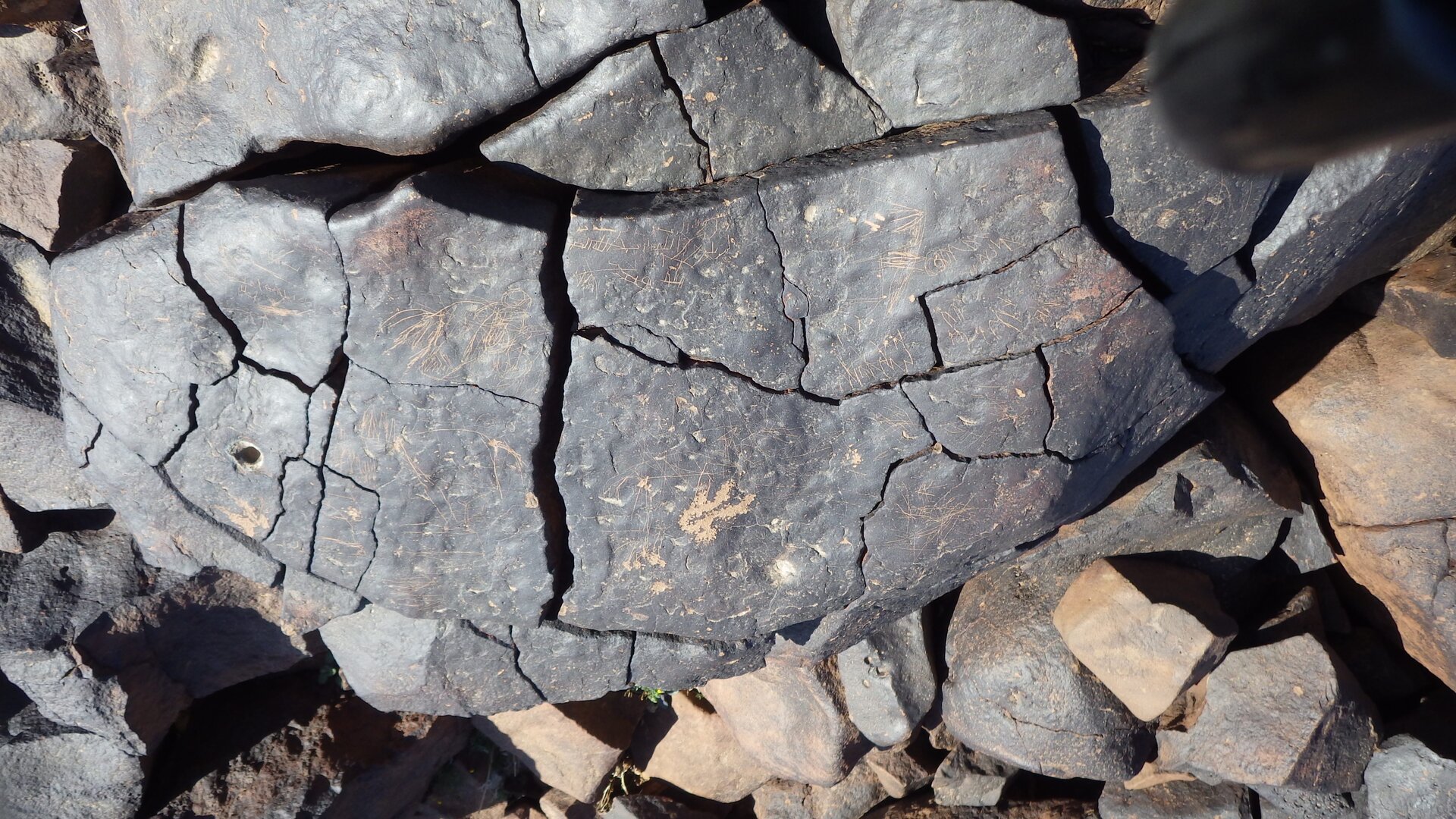 Image of siglum BES20 1246