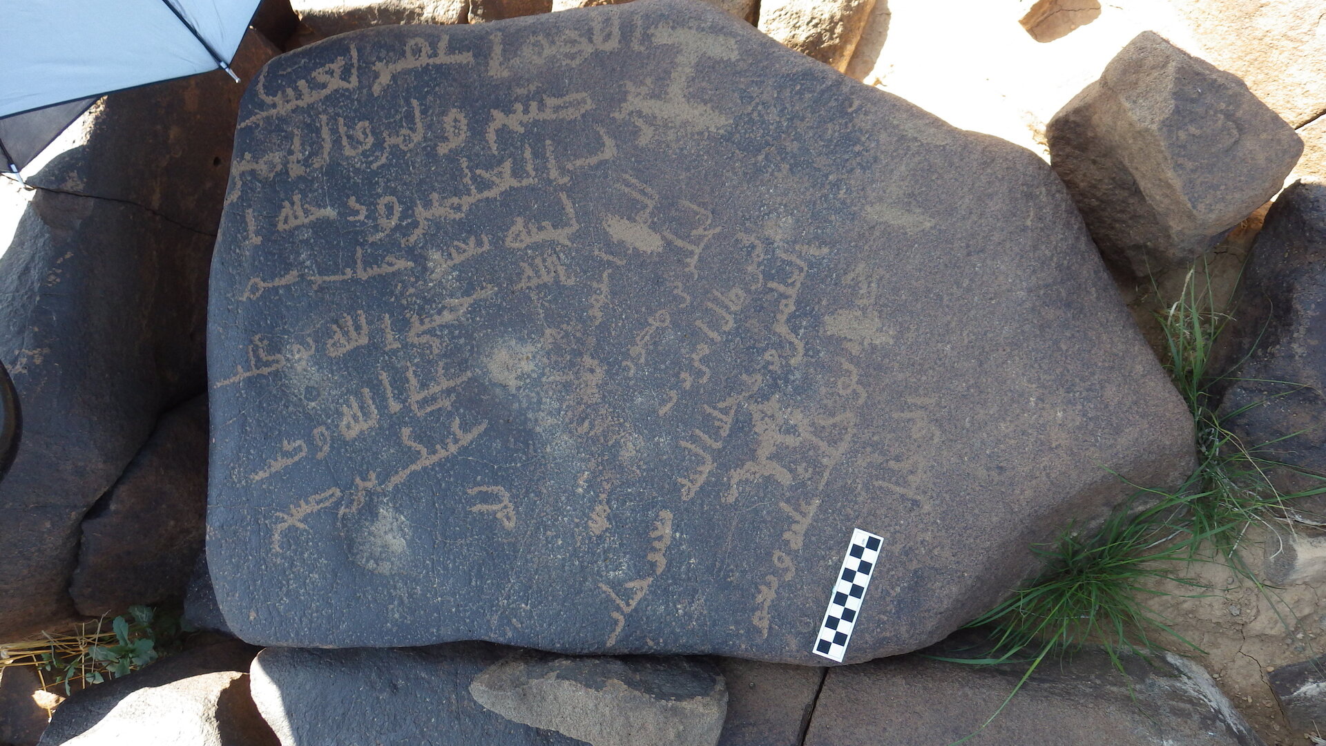Image of siglum BES20 1246