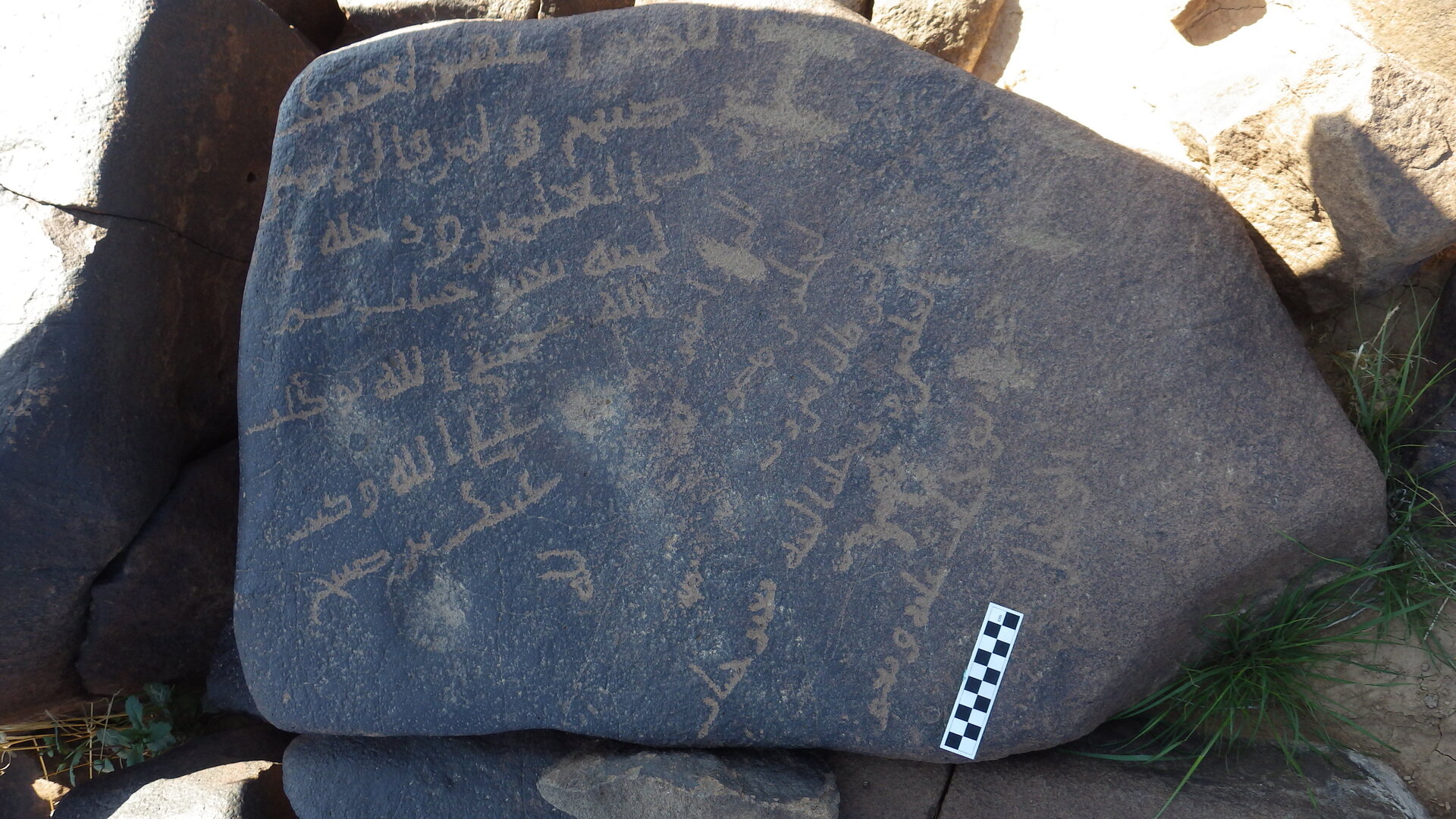 Image of siglum BES20 1246