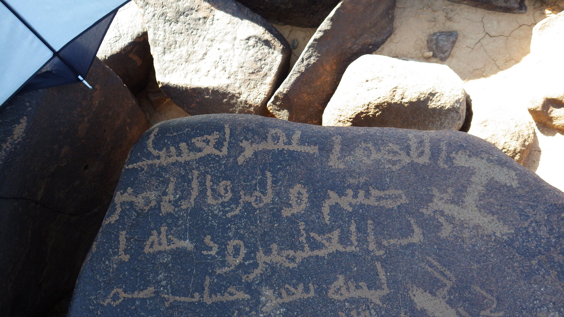 Image of siglum BES20 1246
