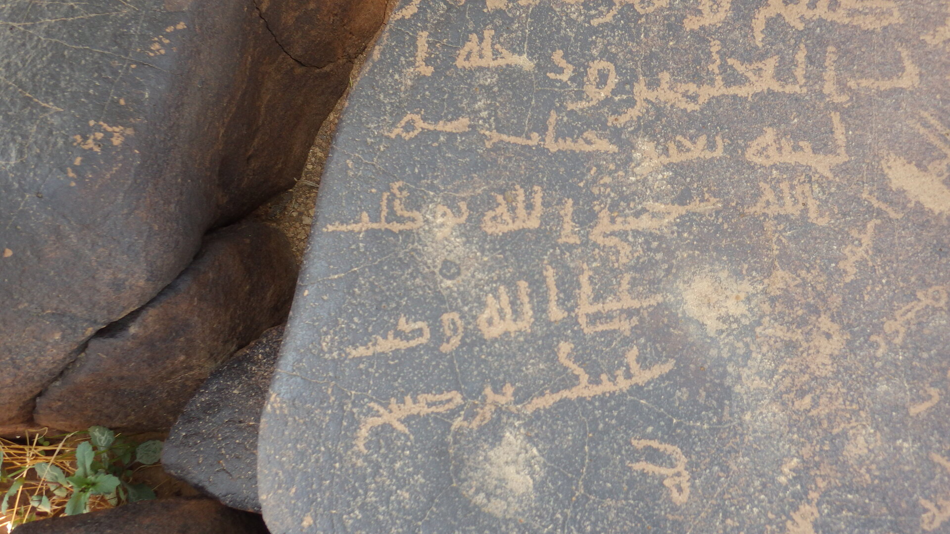 Image of siglum BES20 1246