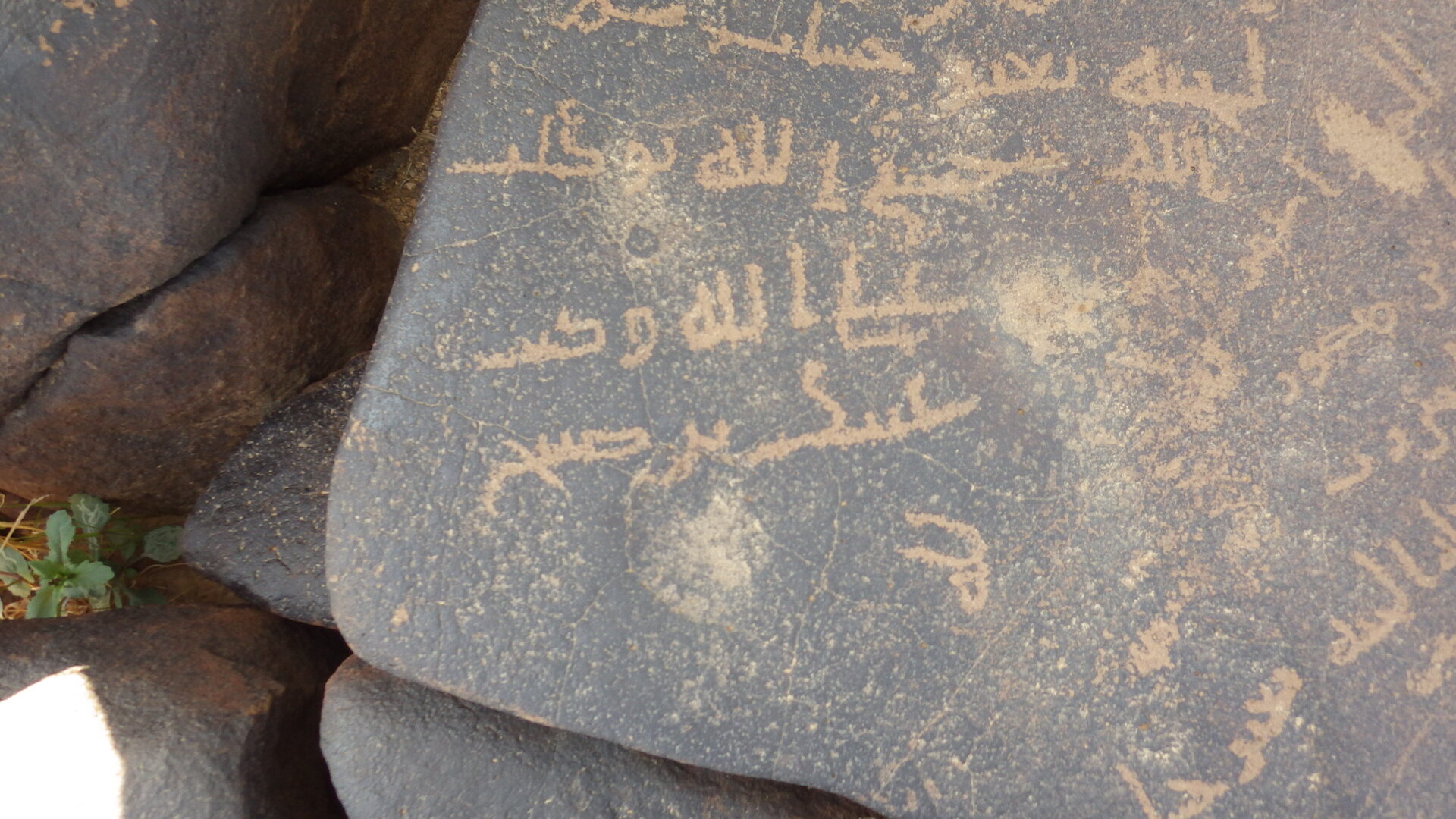 Image of siglum BES20 1246