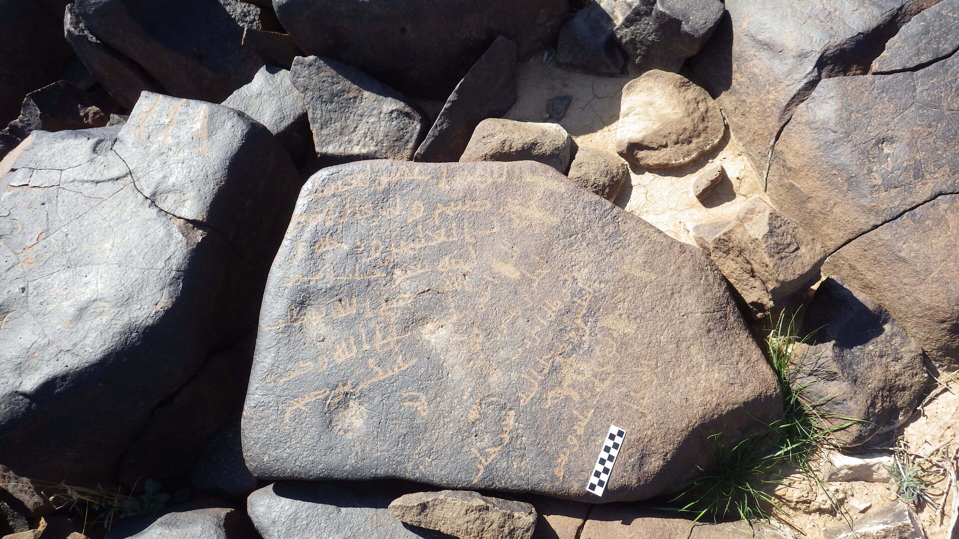 Image of siglum BES20 1246
