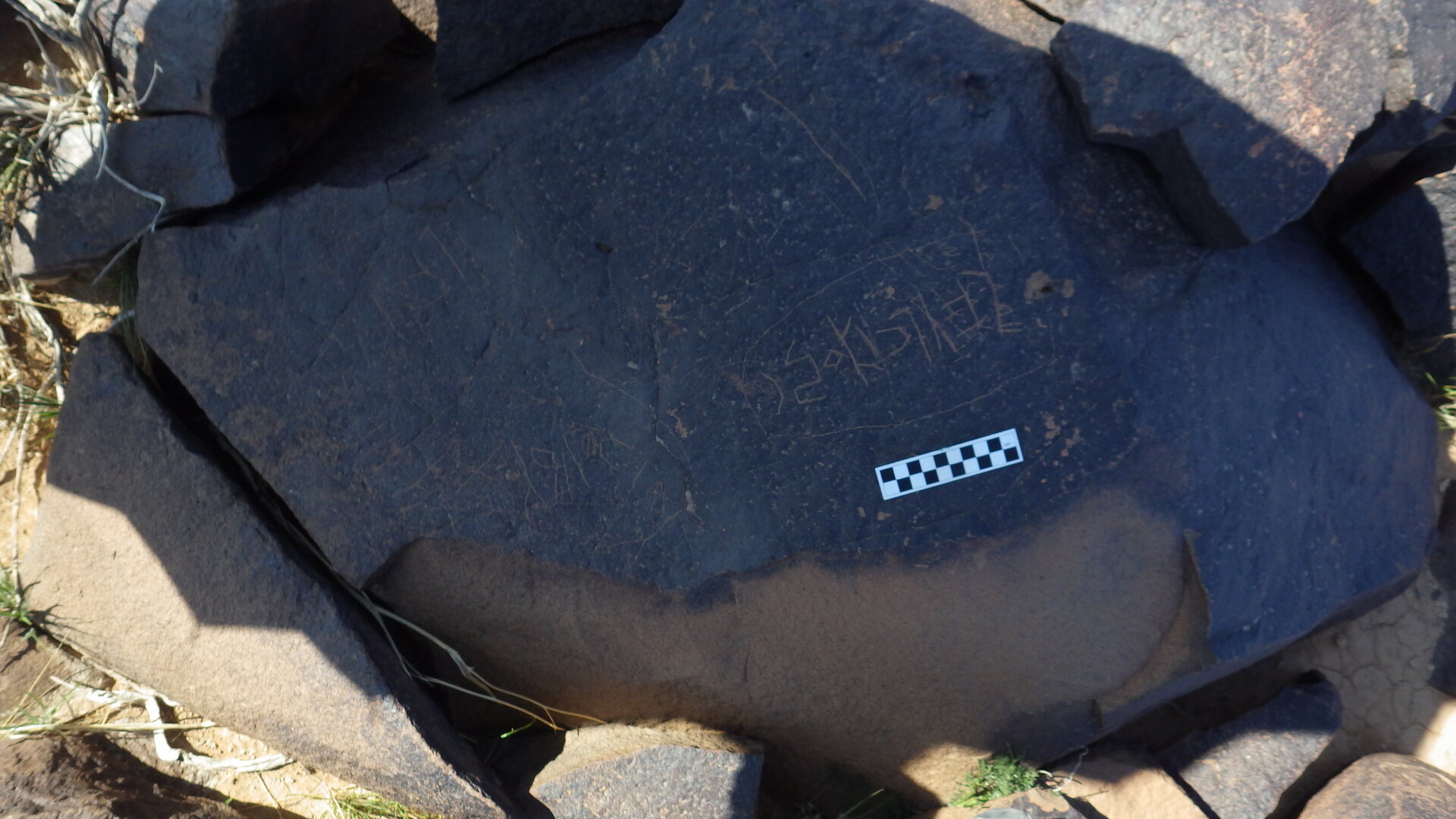 Image of siglum BES20 1246