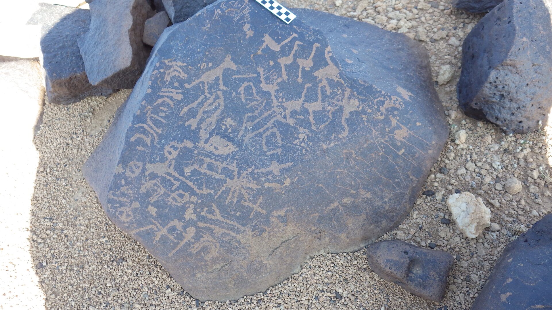 Image of siglum BES20 1246