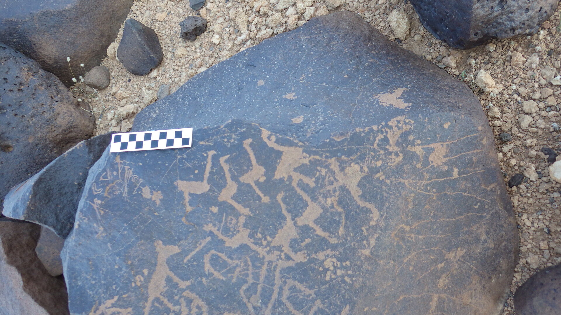 Image of siglum BES20 1246