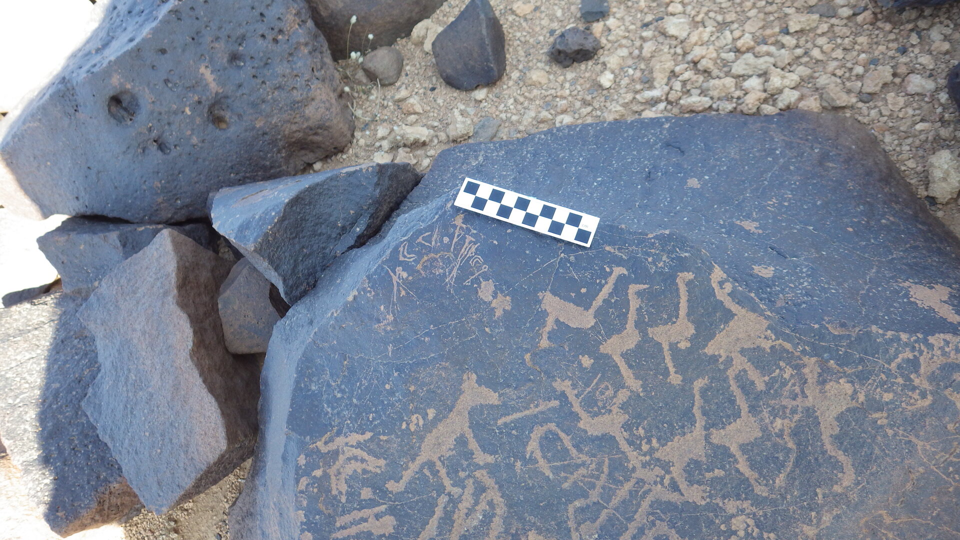 Image of siglum BES20 1246
