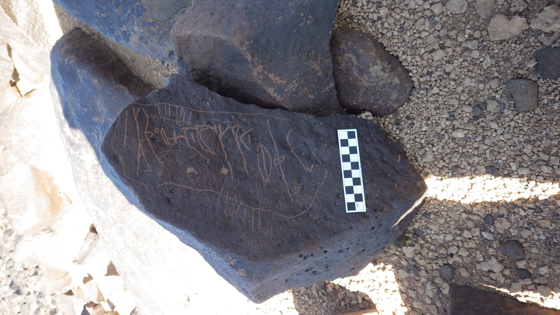 Image of siglum BES20 1246
