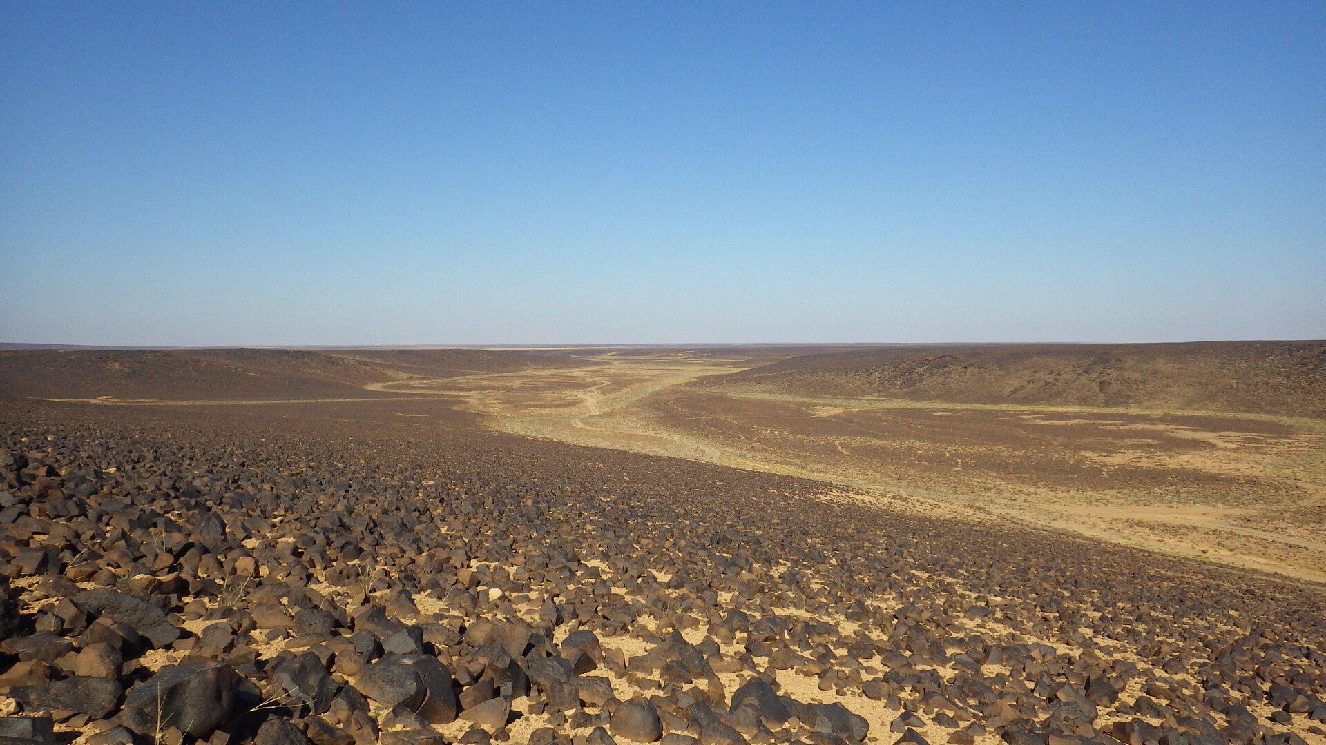 Image of siglum BES20 1246