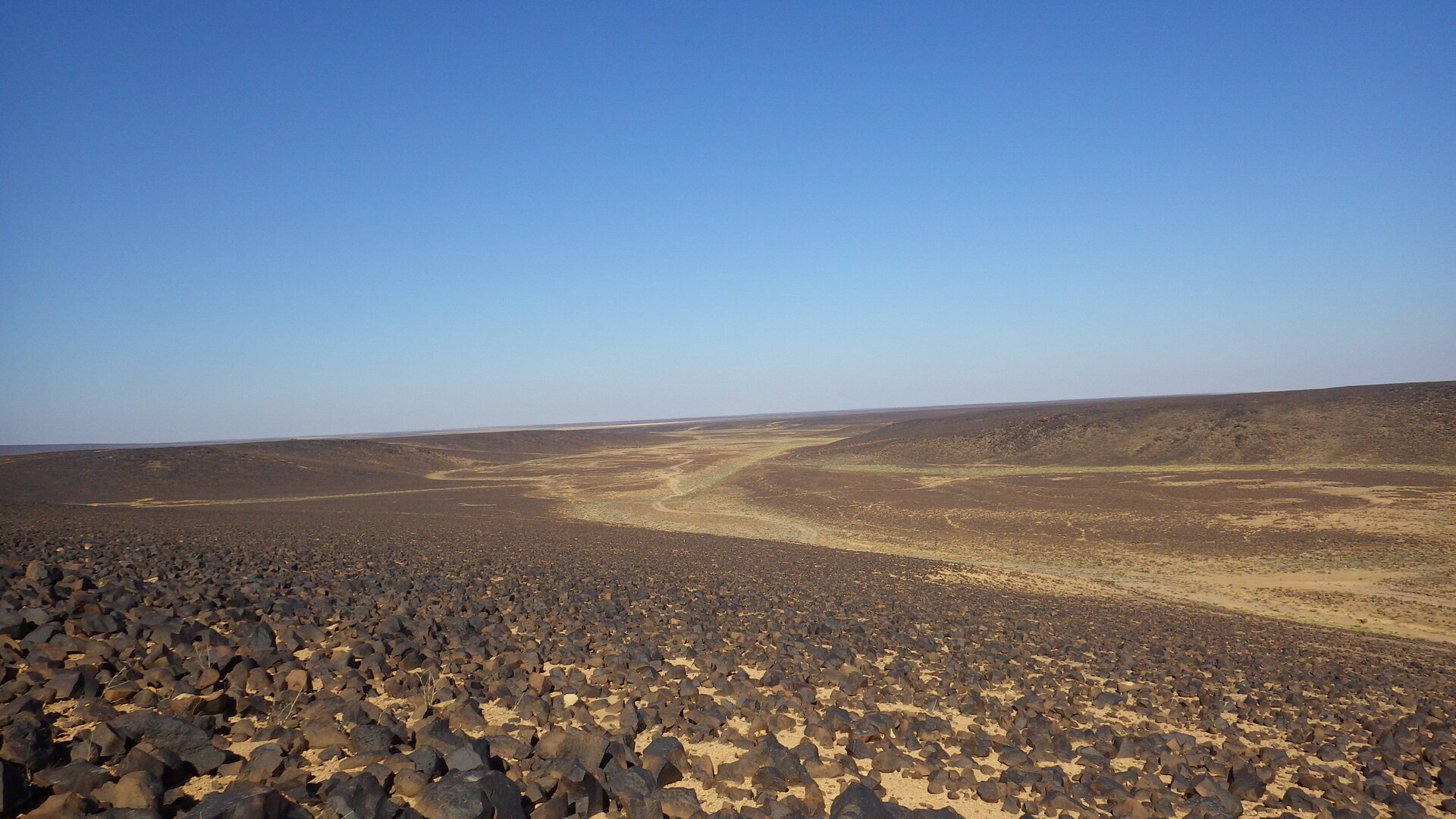 Image of siglum BES20 1246