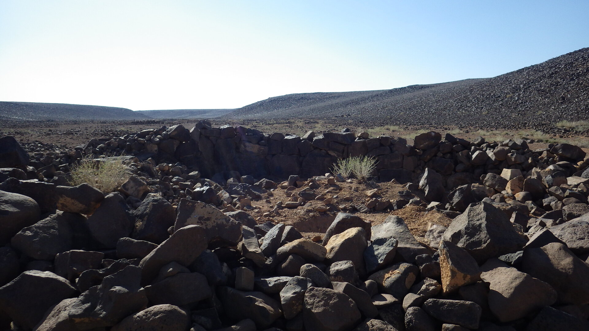 Image of siglum BES20 1246