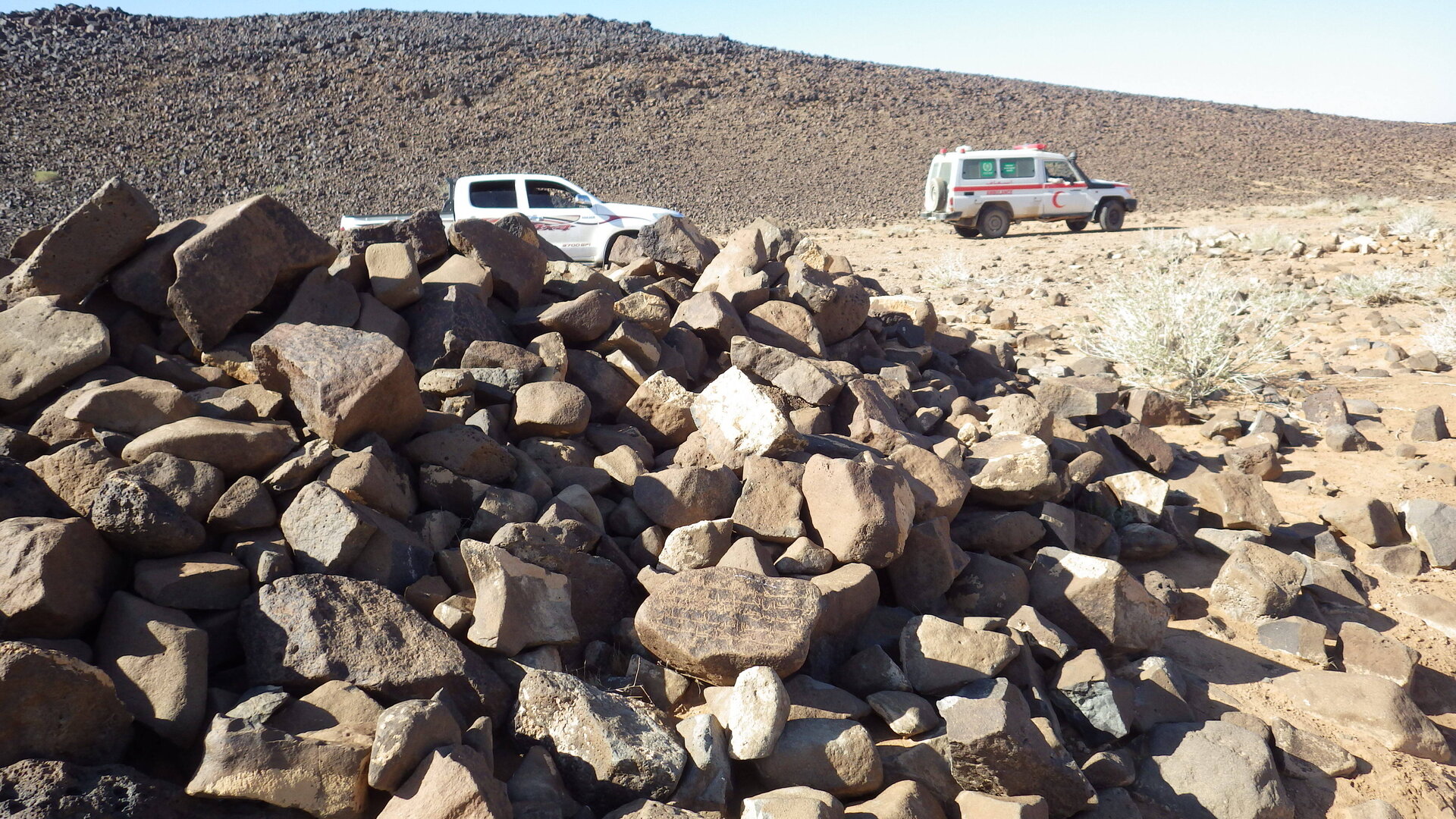 Image of siglum BES20 1246
