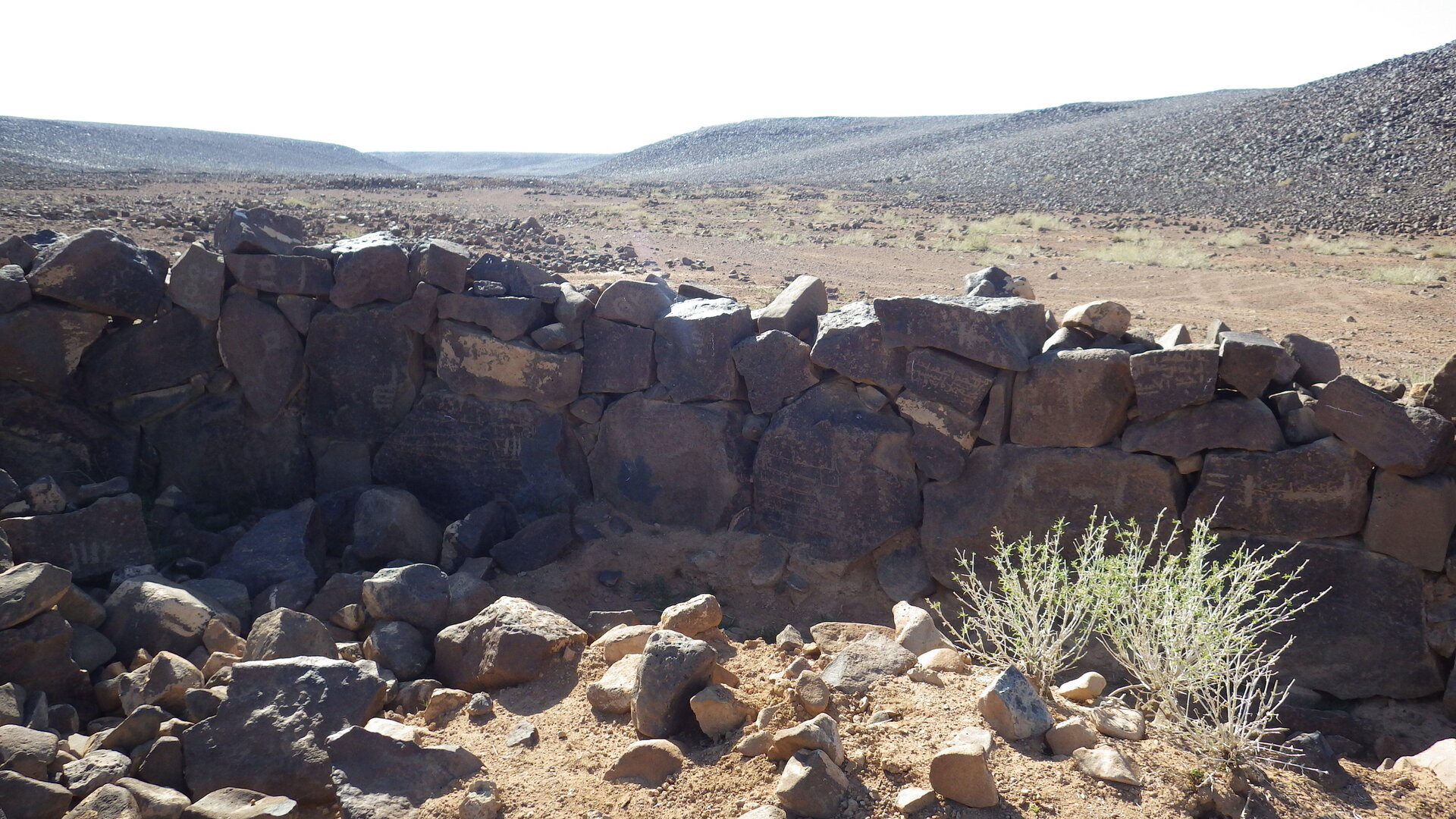 Image of siglum BES20 1246