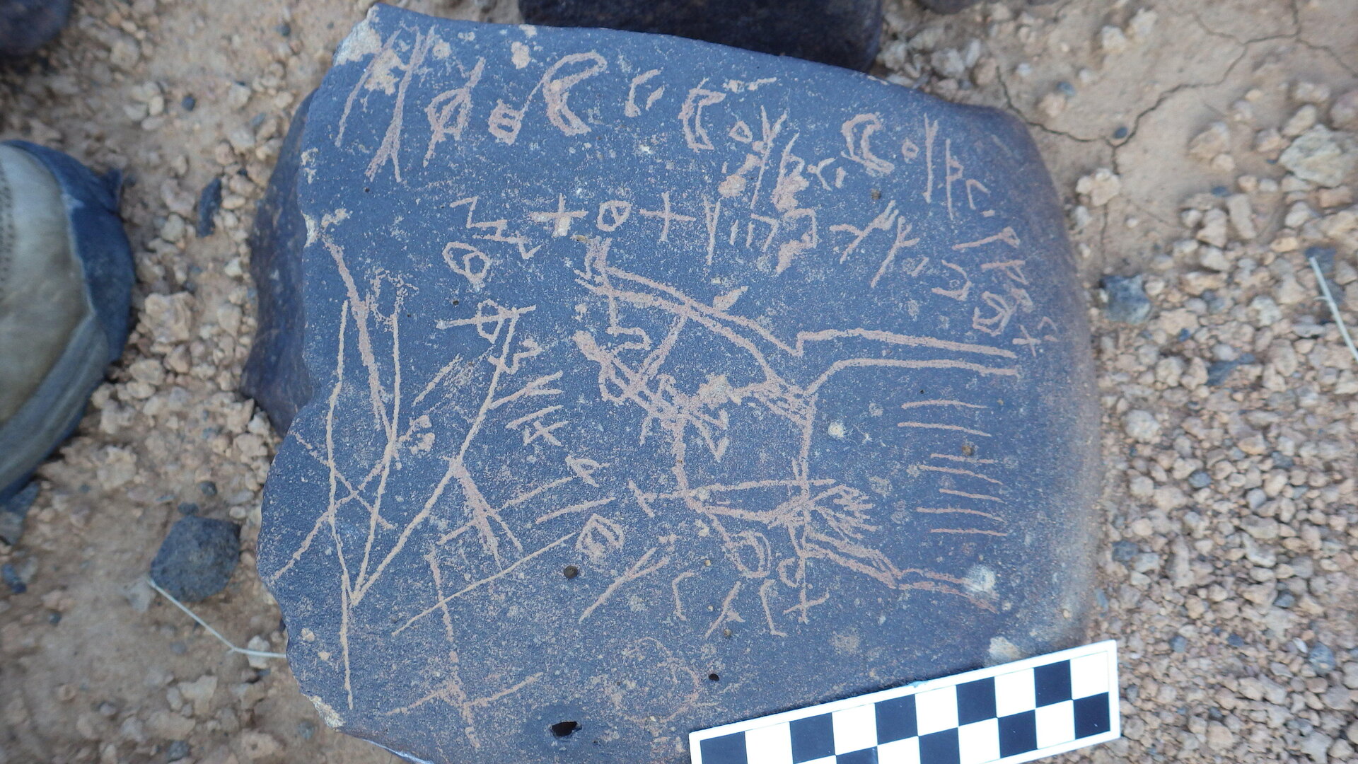 Image of siglum BES20 1246