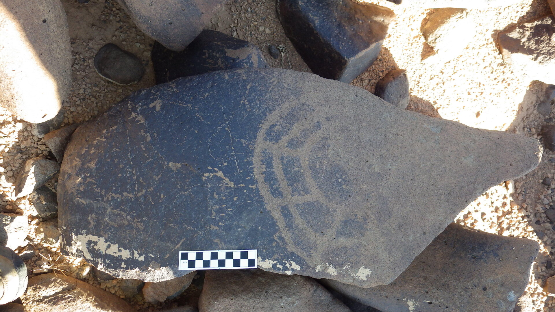 Image of siglum BES20 1246