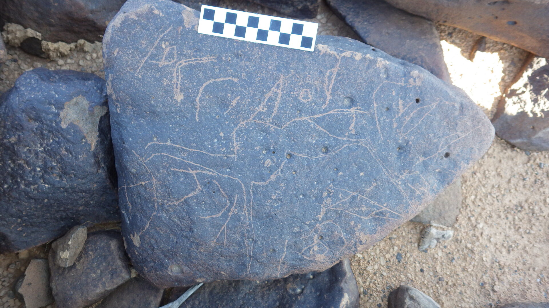 Image of siglum BES20 1246