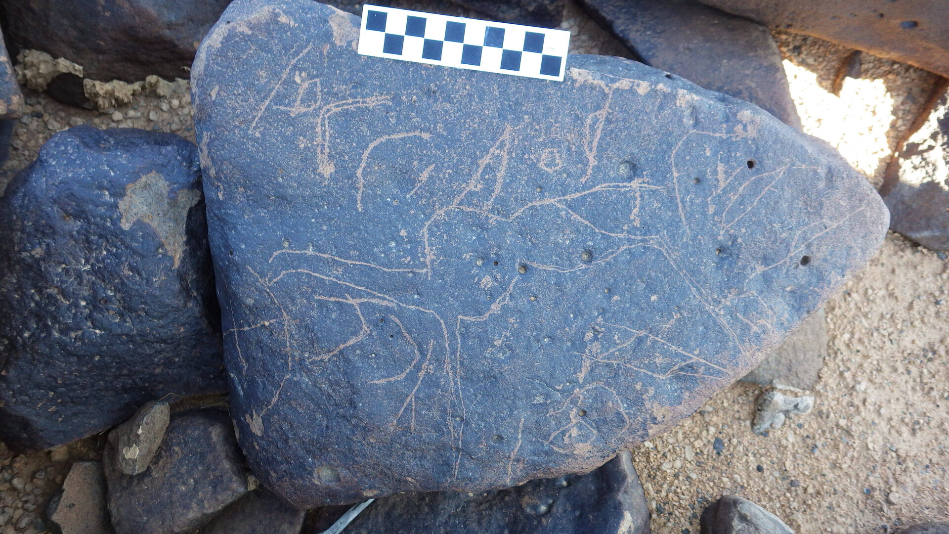 Image of siglum BES20 1246