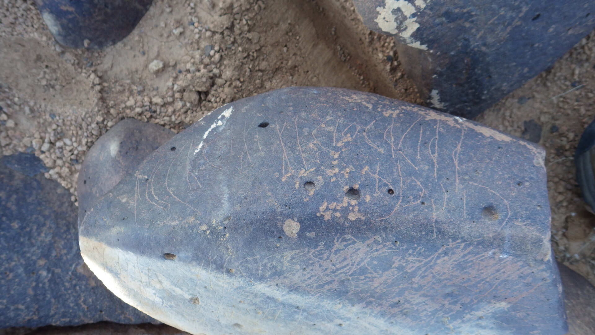 Image of siglum BES20 1246